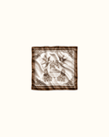 Bandana brown